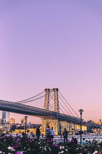 bridge architectural photography of bride purple